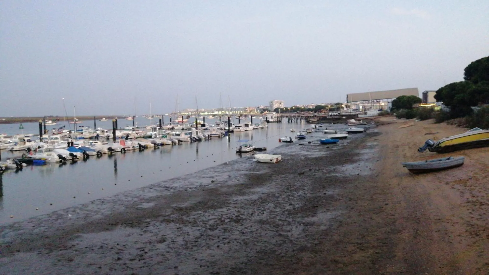Entre Mar Y Pinos Apartment Punta Umbria